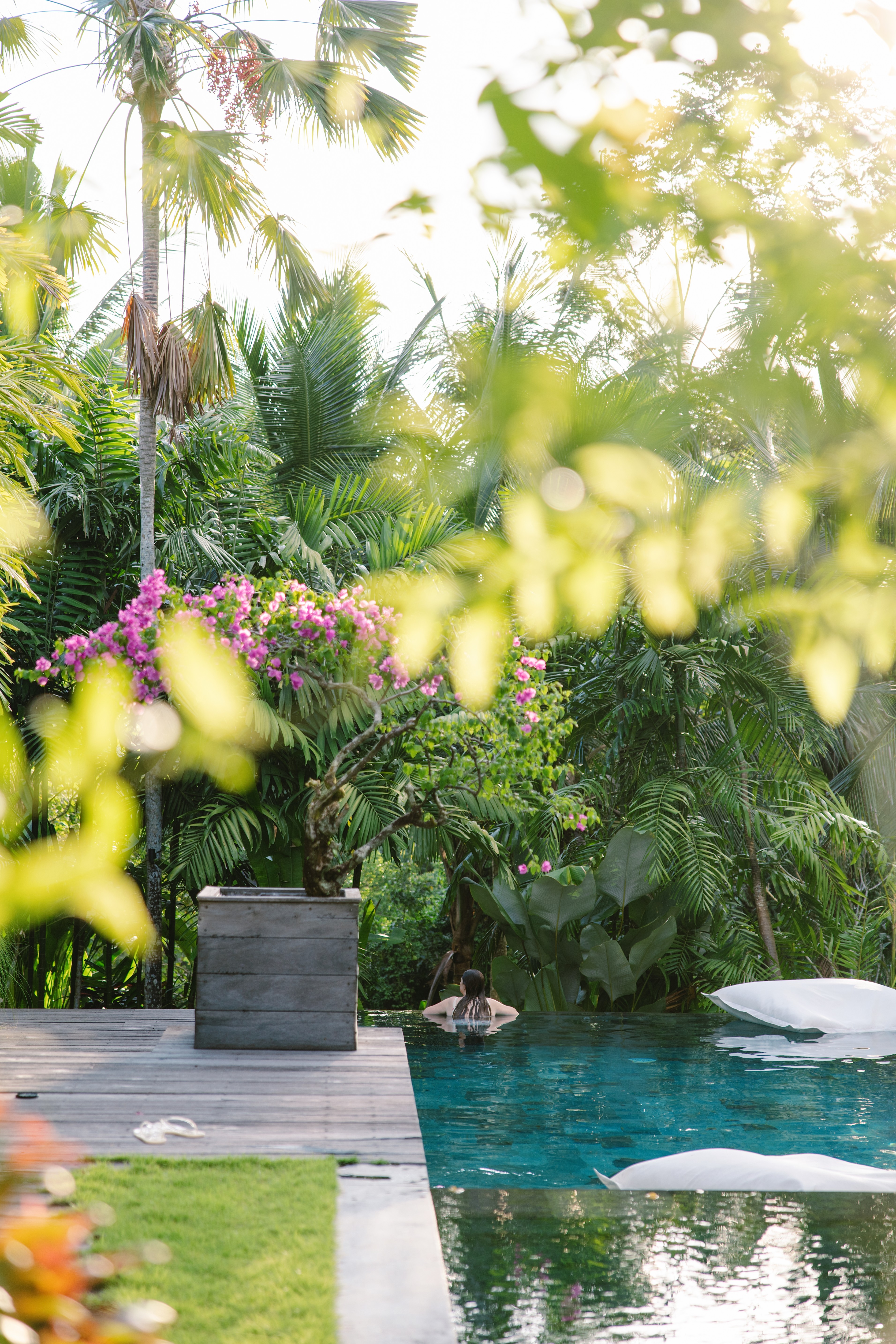 Bali retreat pool surrounded by tropical greenery
